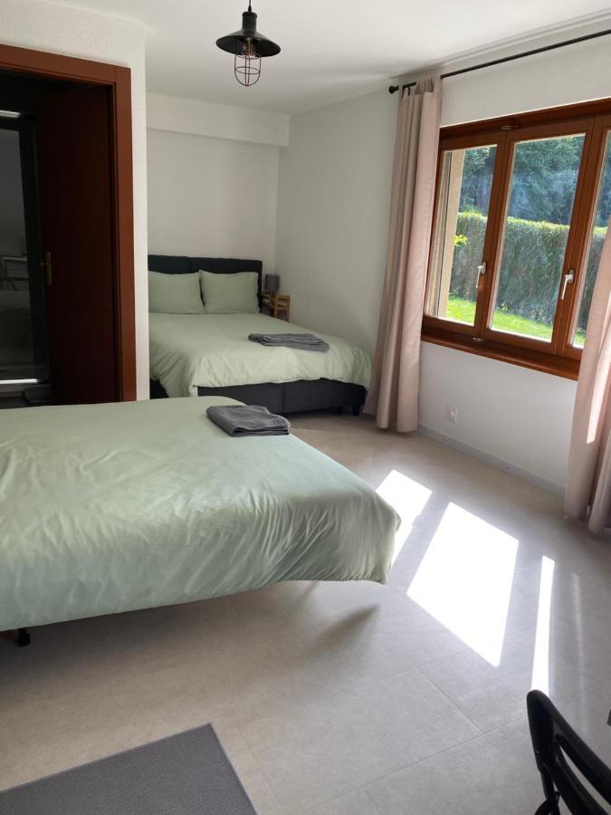 Joli Studio Pres Des Bains De Lavey Экстерьер фото